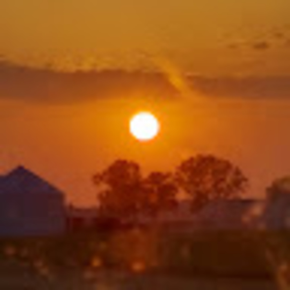 Meet your Posher, Charli